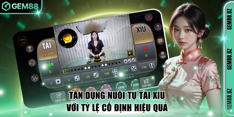 Tận dụng chiến thuật nuôi tụ tài xỉu với tỷ lệ cố định hiệu quả